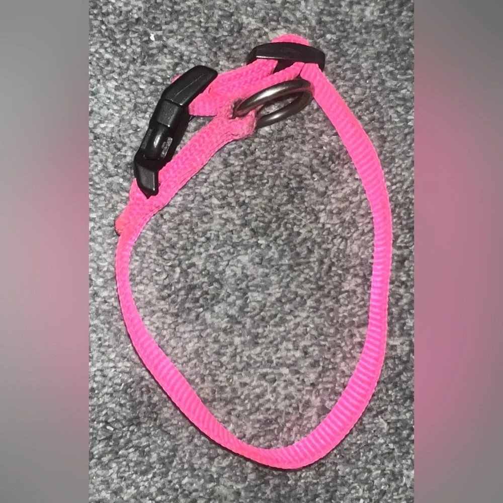 🎉HOST PICK 🎉 Hot Pink Dog Collar - Picture 7 of 7